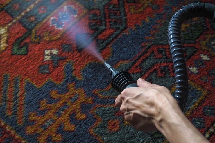 Carpet Cleaning service