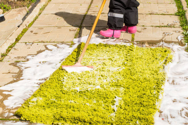 Shag Rug Cleaning Service